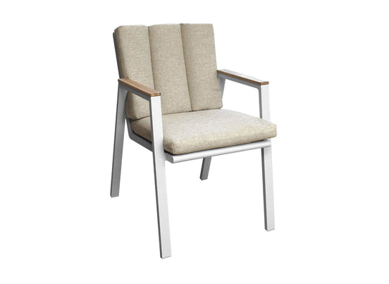 Fauteuil Leather
