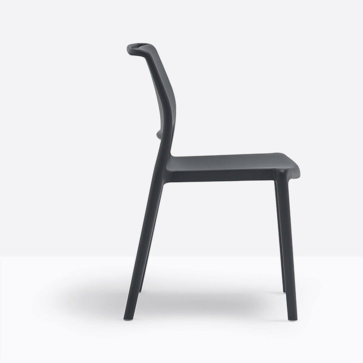 Chaise Ara Pedrali noire