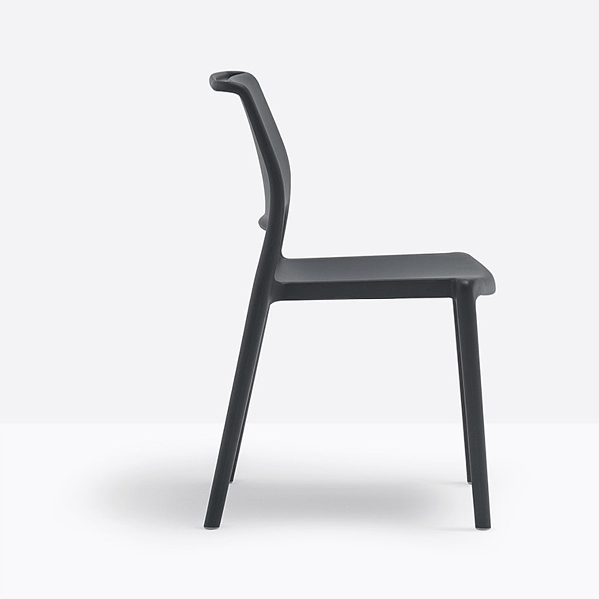 Chaise Ara Pedrali noire