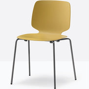 Chaise Babila Pedrali jaune moutarde, structure anthracite