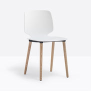 Chaise Babila pieds bois 2750 Pedrali, coque blanc, pieds noyer