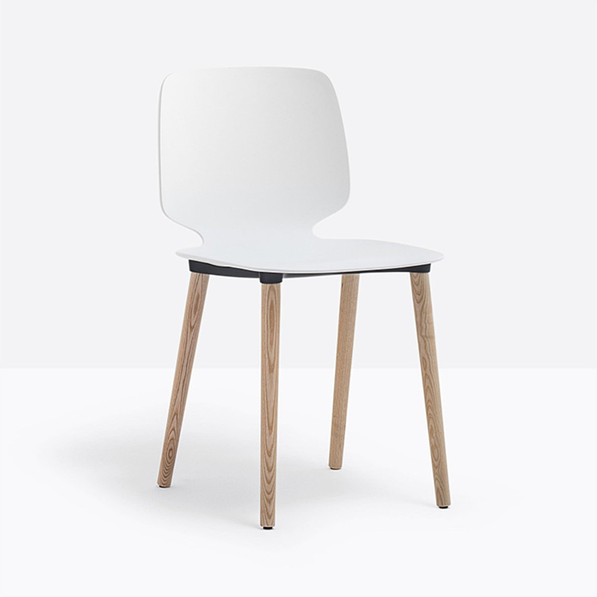 Chaise Babila pieds bois 2750 Pedrali, coque blanc, pieds noyer