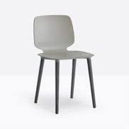 Chaise Babila pieds bois 2750 Pedrali, coque gris, pieds noirs