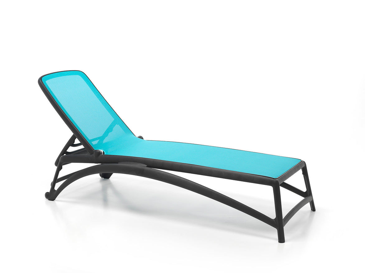 Anthracite / Celeste