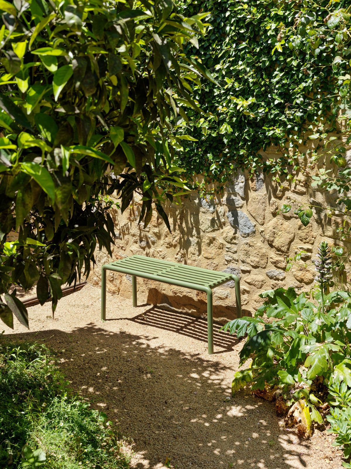 Banc Doga Nardi – mise en situation CHR