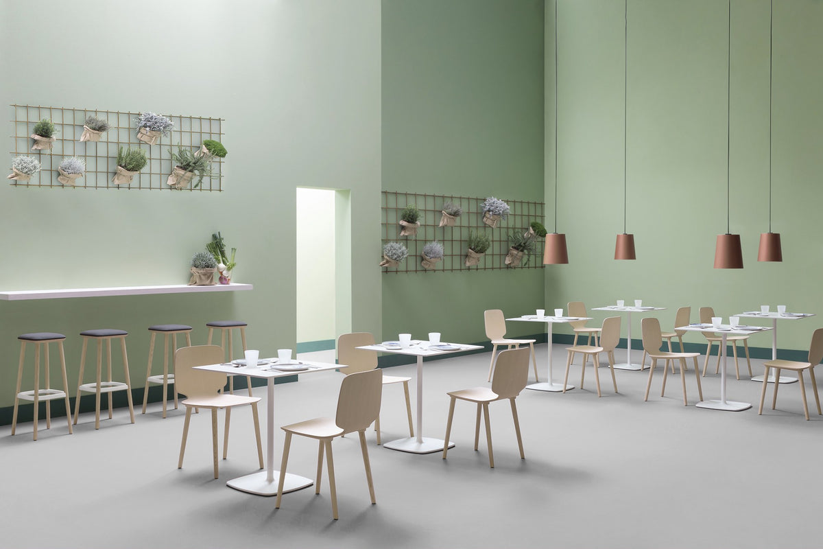Chaises Babila en salle de restaurant