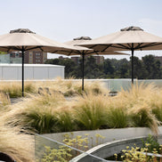 Parasol Formentera 300 x 300 cm Ezpeleta en situation sur une terrasse CHR